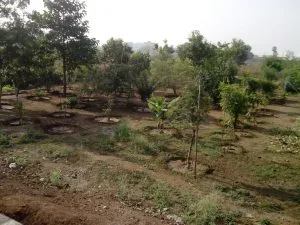 Ashramam garden